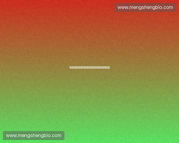 面向未来的体育产业数字化解决方案架构与生态协同创新路径
