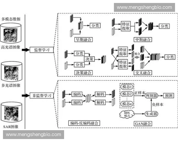 以节奏感知为核心的多模态时间体验与认知机制前沿研究