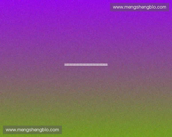 面向智慧体育的多维数据模型监控与风险预警研究平台建设架构体系