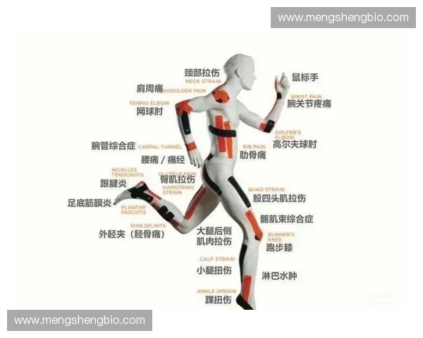 运动科学视角下人体功能适应与运动表现优化研究