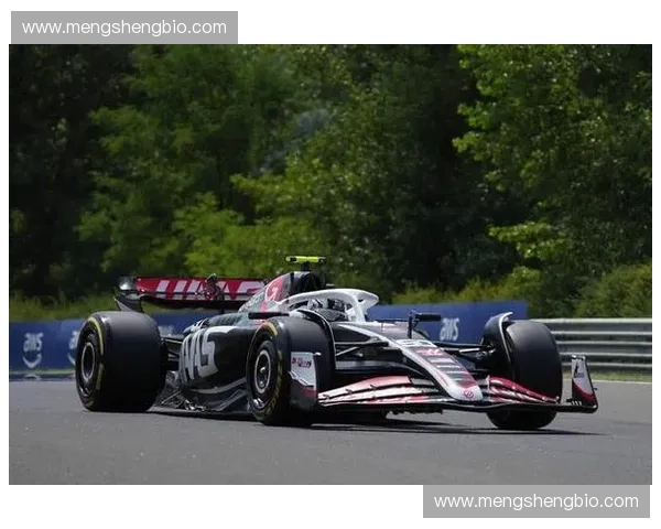 极限运动精彩瞬间合集带你感受速度与激情的无限魅力