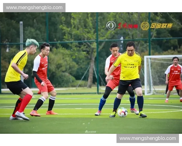 职业联赛全面解析与赛季精彩瞬间全景报道